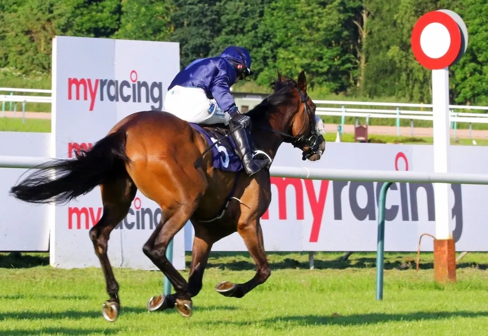 Myracing